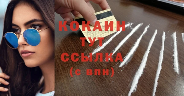 спиды Бородино