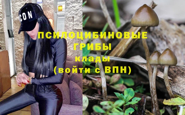 соль курить ск Кинешма
