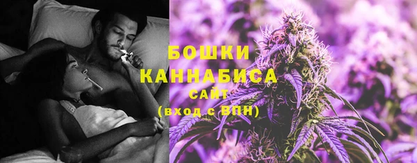 спиды Бородино