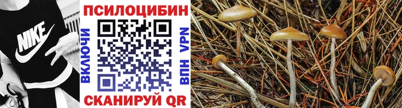 Псилоцибиновые грибы MAGIC MUSHROOMS  маркетплейс какой сайт  Кинешма 